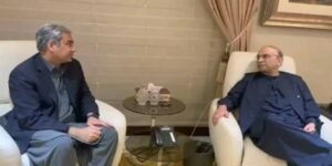 آصف علی زرداری سے محسن نقوی کی ملاقات، داخلی سلامتی پر اہم مشاورت