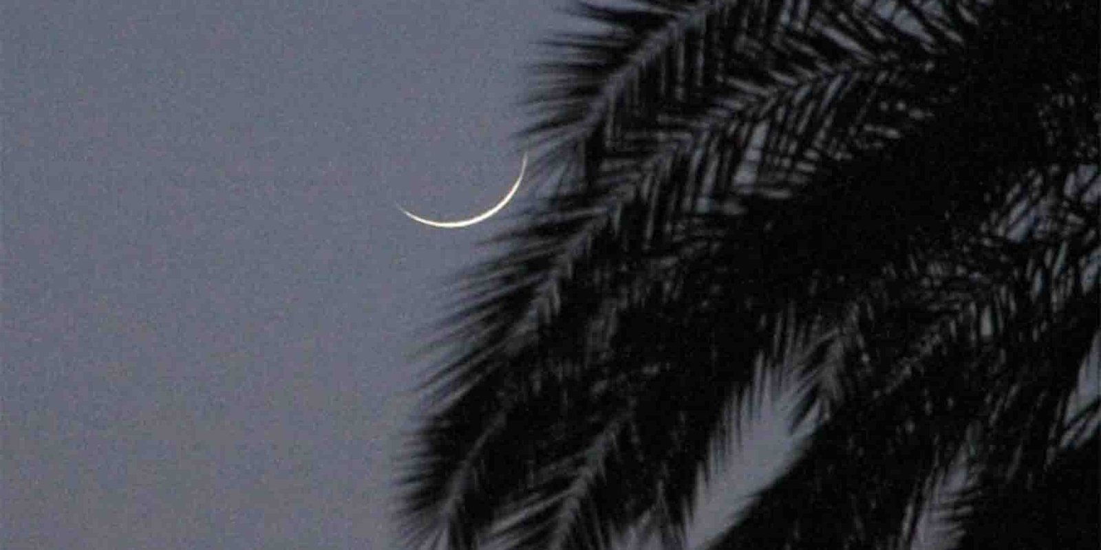 شوال کا چاند دیکھنے کے حوالے سے سائنسی ڈیٹا اور رویتِ بصری