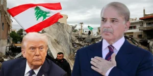 لبنان میں جنگ بندی کا خیر مقدم، شہباز شریف کا پائیدار امن کی امید کا اظہار