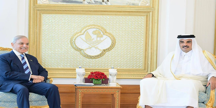 شہباز شریف کا دورہ قطر پر امیر قطر سے ملاقات
