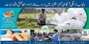 پنجاب ڈینگی آگاہی مہم: طلباء میں سروے فارم اور حفاظتی اقدامات