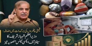قیمتی پتھروں کی برآمدات میں اضافہ: وزیراعظم شہباز شریف کا سینٹر آف ایکسی لینس منصوبہ تیز