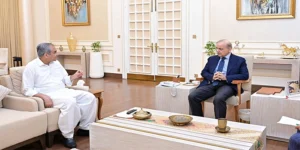 وزیراعظم کی منظوری: پی ایس ایل پلے آف میچز شائقین کے ساتھ اسٹیڈیم میں ہوں گے