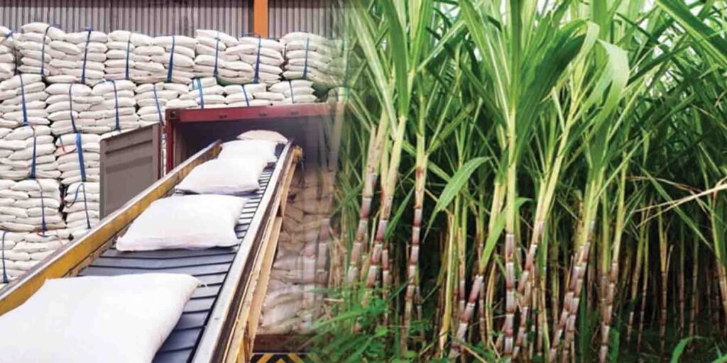 چینی کا شعبہ اور شوگر مل میں گنے کی کرشنگ کا عمل