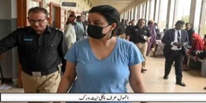 انمول عرف پنکی نیٹ ورک میں افریقی شہری شامل، 6 غیر ملکی ملوث ہونے کا انکشاف