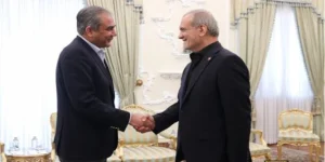 وزیر داخلہ محسن نقوی کی ایرانی صدر مسعود پزشکیان سے اہم ملاقات، خطے کی صورتحال پر تبادلہ خیال
