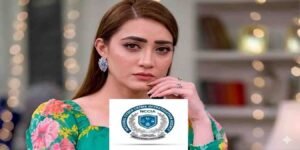مومنہ اقبال کا ایم پی اے پر ہراسانی کا الزام، این سی سی آئی اے نے نوٹس جاری کر دیئے