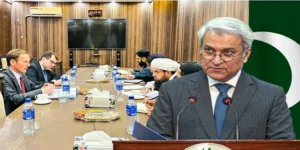 پاک افغان سرحد: پاکستان کا برطانوی نمائندے کے ریمارکس پر سخت ردعمل