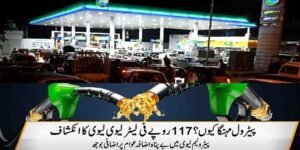 پیٹرول مہنگا کیوں؟ 117 روپے فی لیٹر لیوی کا انکشاف