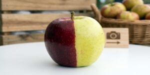 کیمیرا ایپل: نیوزی لینڈ میں دو رنگوں والا نایاب سیب توجہ کا مرکز بن گیا