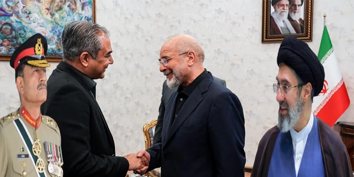محسن نقوی آج ایران روانہ، فیلڈ مارشل عاصم منیر کا خصوصی پیغام ایرانی قیادت تک پہنچائیں گے