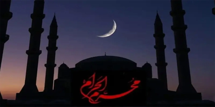 محرم الحرام کے دوران پنجاب بھر کے تھیٹرز کی بندش اور لاہور میں جلوسوں کی سیکیورٹی انتظامات
