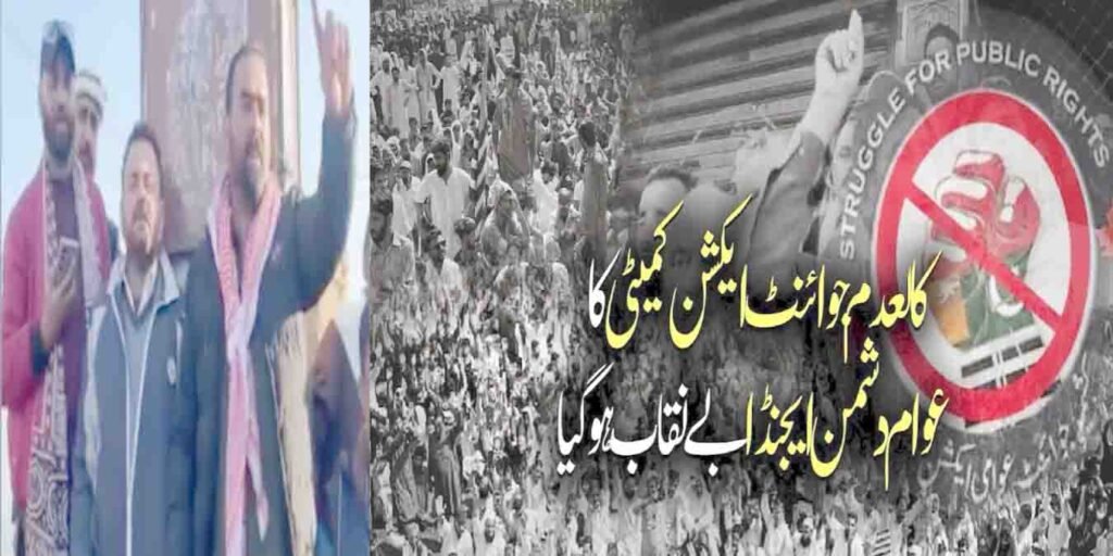 کالعدم جوائنٹ ایکشن کمیٹی کا عوام دشمن ایجنڈا