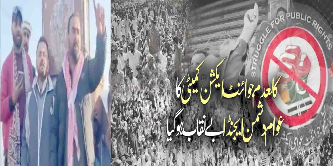 کالعدم جوائنٹ ایکشن کمیٹی کا عوام دشمن ایجنڈا