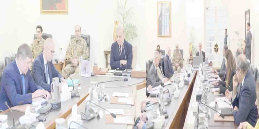 وزیراعظم شہباز شریف اور گلوبل فنڈ وفد کی ملاقات، صحت کے شعبے میں تعاون بڑھانے پر اتفاق 3 شہباز شریف گلوبل فنڈ ملاقات صحت کے شعبے میں تعاون