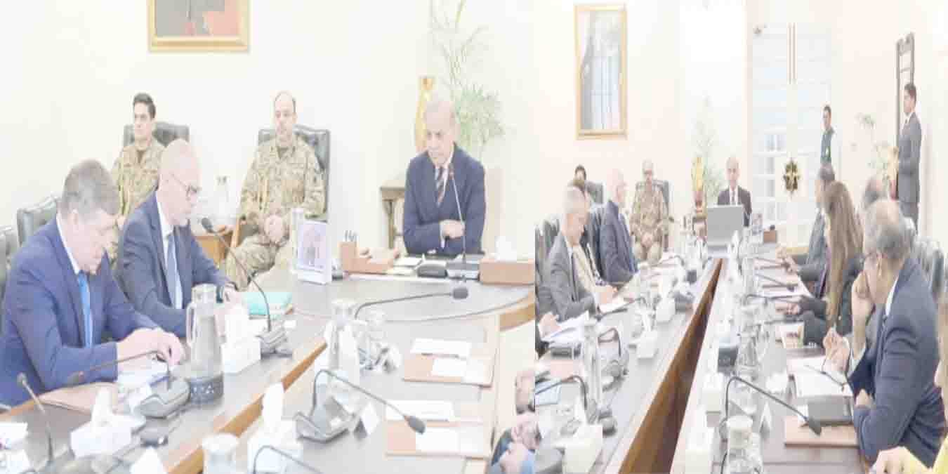 وزیراعظم شہباز شریف اور گلوبل فنڈ وفد کی ملاقات، صحت کے شعبے میں تعاون بڑھانے پر اتفاق