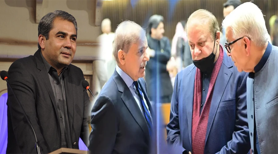 نواز شریف کی ن لیگ کو محسن نقوی کا بیان نظرانداز کرنے کی ہدایت، قومی اتحاد پر زور