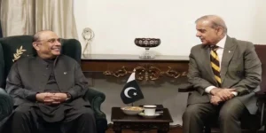 وزیراعظم شہباز شریف کی صدر آصف علی زرداری سے ملاقات
