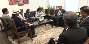 ڈیجیٹل لین دین کرنے والوں کی تعداد 20 لاکھ سے بڑھ گئی، وزیر مملکت خزانہ