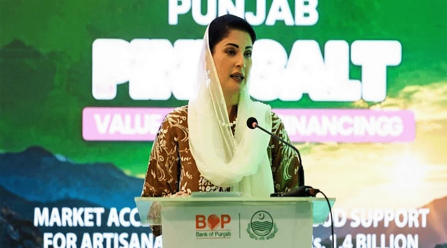 مریم نواز پنک سالٹ کی ویلیوایڈیشن تقریب سے خطاب کرتے ہوئے