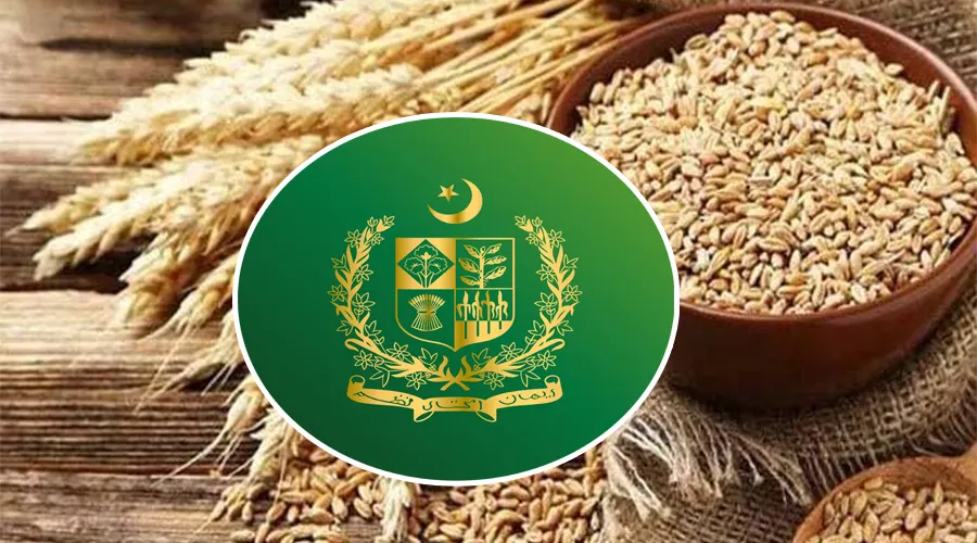 پاکستان میں ربیع سیزن 2026-27 کے لیے گندم کے بیج کی دستیابی اور قیمتوں میں کمی کا مطالبہ